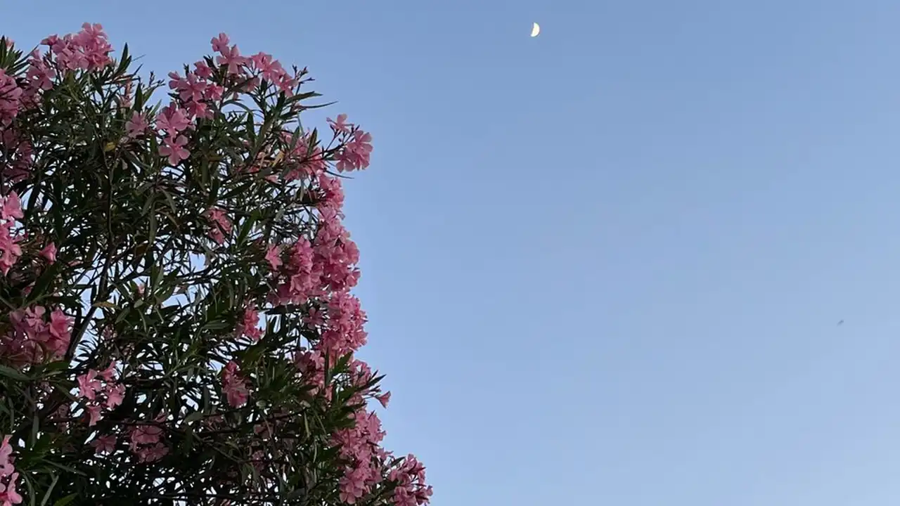 豆花视频app是什么及怎么用